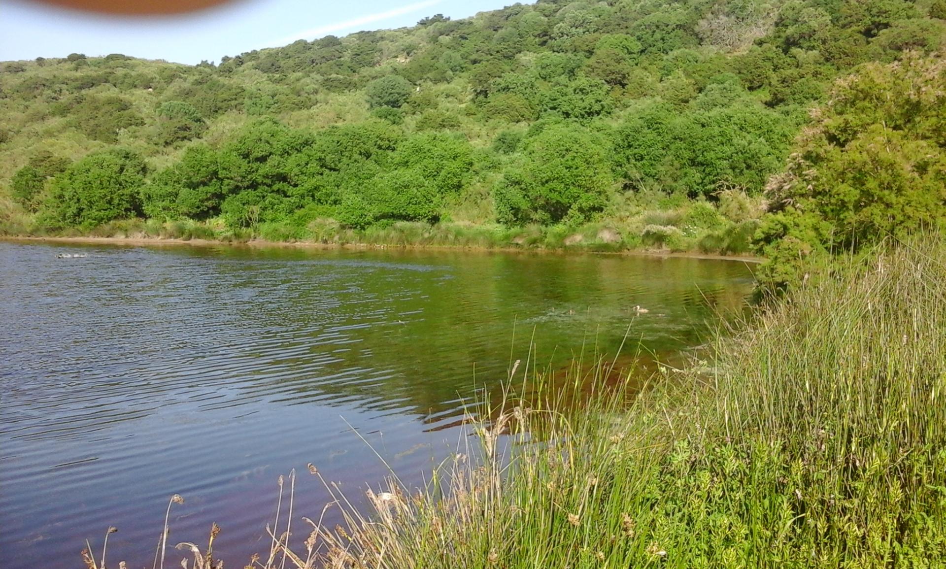 Lac sidi boughaba kenitra1